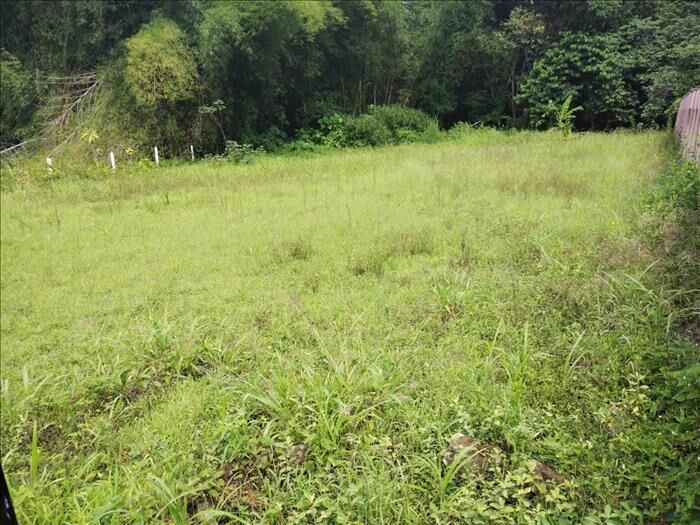 SE VENDE UNA BELLEZA DE PROPIEDAD EN EL GUISARO DE ATENAS. en Atenas, Alajuela — ₡ 55 000 000