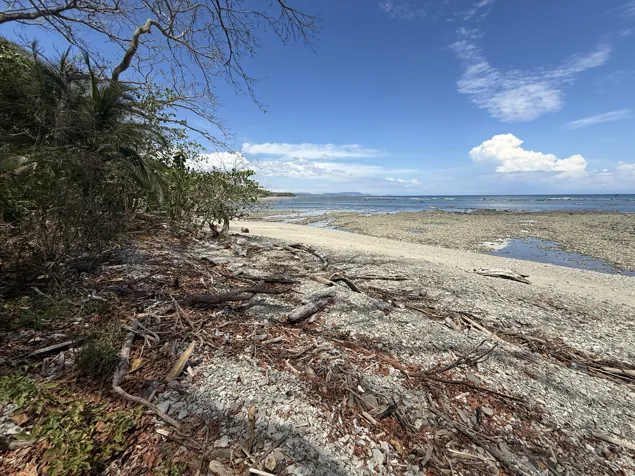 Beachfront Concession Land in Cabuya – Ideal for Hotel in Cóbano, Puntarenas — $353,150 - Photo 3 of 12