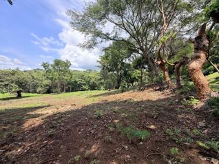 Hermosa Quinta en Residencial Villa Lapas Atenas en Escobal, Atenas, Alajuela — 191 000 000 ₡ - Foto 5 de 28