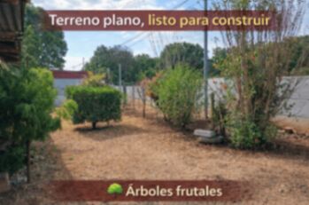 PROPIEDAD OPORTUNIDAD  in Labrador, San Mateo, Alajuela — 30 000 000 ₡ - Photo 4 of 4