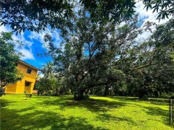 QUINTA EN VENTA, TURRUBARES, SAN JOSE, COD#26-421 en San Pablo, Turrubares, San José — $280,000 - Foto 4 de 15