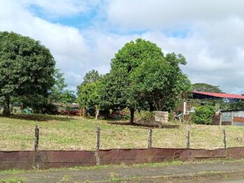 Grandiosa Oportunidad de Inversion en Santa Cecilia, La Cruz, Guanacaste — 90 000 000 ₡ - Foto 4 de 5