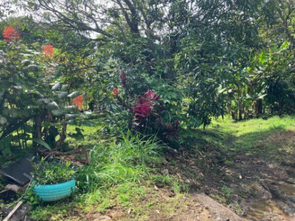 DE OPORTUNIDAD 2BELLAS PROPIEDADES EN ATENAS.  en Atenas, Alajuela — ₡ 50 000 000