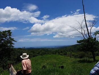 Farm For Sale Sámara, Nicoya, Guanacaste