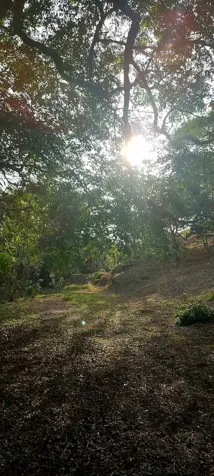 Hermosa Quinta Junto al Río en San Ramón, Alajuela — ₡ 40 000 000 - Foto 3 de 22