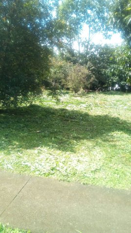 Se vende Lote en condominio en Grecia! P332 en Grecia, Alajuela — ₡ 50 000 000 - Foto 3 de 7