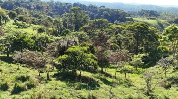 Terreno en venta con quebrada en Santa Elena, Perez Zeledon en El General, Pérez Zeledón, San José — 100 000 000 ₡ - Foto 4 de 11