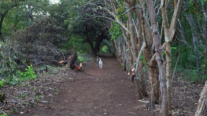 Urban Residential Development in Cabuyal, Guanacaste in Liberia, Guanacaste — $6,300,000 - Photo 3 of 11