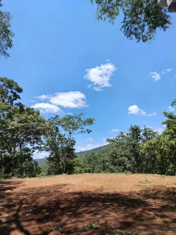 2,000 m² lot for sale in Cañafístula, Tamarindo in Tamarindo, Santa Cruz, Guanacaste — ₡ 40 000 000 - Photo 2 of 9