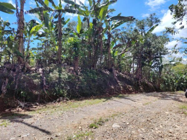 TERRENO EN VENTA EN LA FILA, RIVAS – FINCA DE CAFÉ Y BANANO CERCA DEL CHIRRIPÓ en Rivas, Pérez Zeledón, San José — $78,000