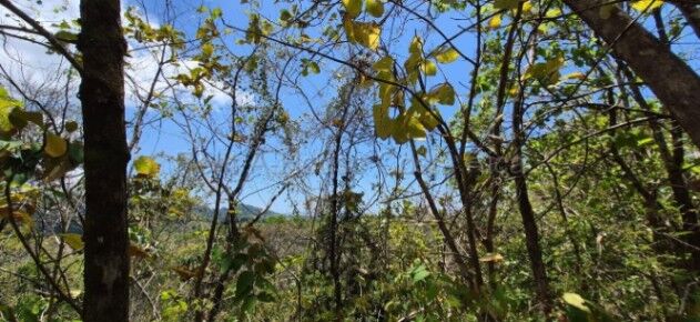 Venta de Lote en Parrita-Puntarenas. RAH 26-1767 en Parrita, Puntarenas — ₡ 150 000 000