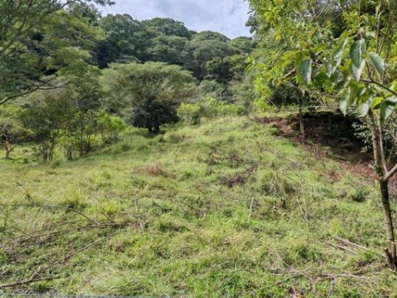 Se vende lote de 1.2 hectáreas en Colon de San José 25-1619 in Colón, Mora, San José — $1,530,000