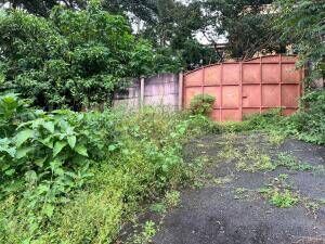 ¿Sueñas con construir la casa de tus sueños en un entorno tranquilo y rodeado de naturaleza? OFC /AD en San Ramón, La Unión, Cartago — $240,000 - Foto 5 de 8