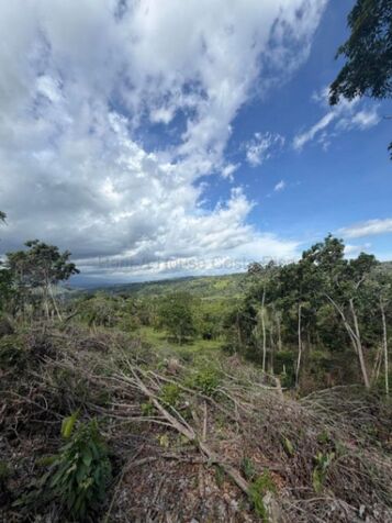Venta | Lote de 5.237 m² con excelente vista en zona rural #27-91 GS en Daniel Flores, Pérez Zeledón, San José — $67,000