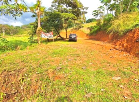 Se vende lote en quepos  en Quepos, Puntarenas — ₡ 35 000 000