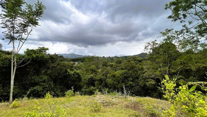 SE VENDE FINCA EN SAN MIGUEL, NARANJO en San Miguel, Naranjo, Alajuela — $890,000