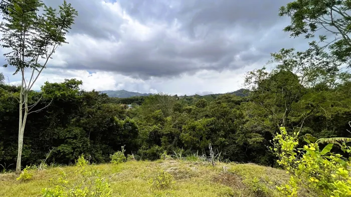 SE VENDE FINCA EN SAN MIGUEL, NARANJO en San Miguel, Naranjo, Alajuela — $890,000