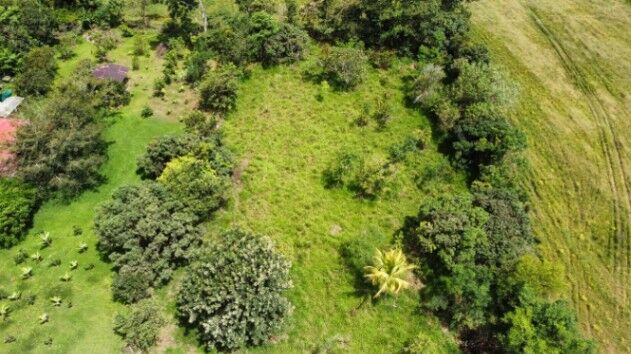 EN VENTA OPORTUNIDAD: 3,497 M² PLANOS Y FÉRTILES in San Isidro De El General, Pérez Zeledón, San José — $80,000