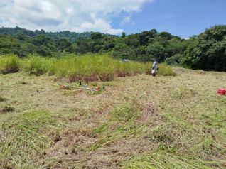 Venta de lote en la playa para desarrollar proyecto en Garabito en Tárcoles, Garabito, Puntarenas — $700,000 - Foto 5 de 8