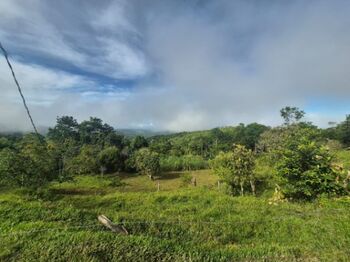 Finca en San Blas, Perez Zeledon. in San Isidro De El General, Pérez Zeledón, San José — $129,999 - Photo 5 of 28