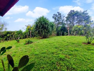 ALQUILER DE QUINTA EN LABRADOR DE SAN MATEO, ALAJUELA. en Labrador, San Mateo, Alajuela — $2,300 - Foto 5 de 27