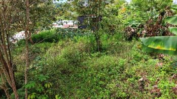 VENTA DE LOTE DE 4.321 M2 EN BARRIO SAN RAFAEL, PEREZ ZELEDON: POTENCIAL RESIDENCIAL in San Isidro De El General, Pérez Zeledón, San José — $170,000 - Photo 4 of 29