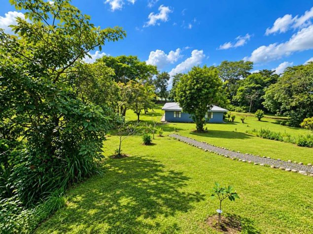 🌿 FINCA DE 10,3 HAS. EN VENTA EN PIEDADES SUR, SAN RAMÓN | ₡170 Mill. in Piedades Sur, San Ramón, Alajuela — ₡ 170 000 000 - Photo 3 of 22