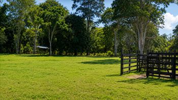 Finca para Desarrollo Eco-Turístico – 29.8 Hectáreas Cerca del Caribe - Foto 2 de 3