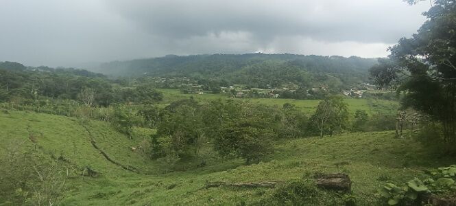 Venta de lote en Barrio Orotina, La Isla, San Vito de Coto Brus, Puntarenas. in San Vito, Coto Brus, Puntarenas — ₡ 12 000 000