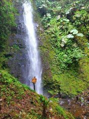 Finca en Venta San Isidro, Alajuela, Alajuela