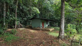 SE VENDE FINCA CON VISTAS AL CHIRRIPO Y ACCESO AL RIO BUENA VISTA en Rivas, Pérez Zeledón, San José — $400,000 - Foto 4 de 22