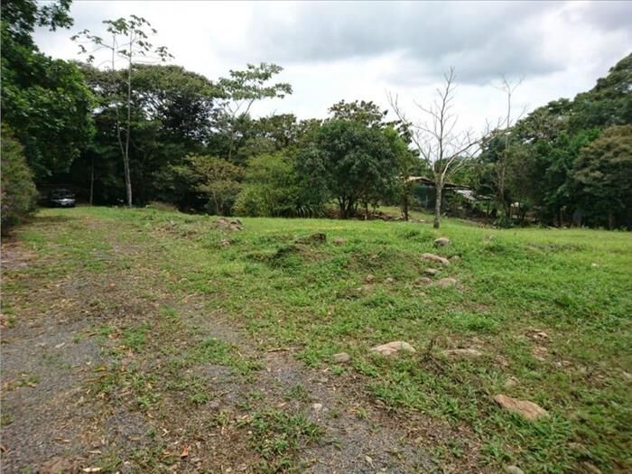 VENTA DE QUINTA, LIMON, GUAPILES, BUENOS AIRES en Guápiles, Pococí, Limón — ₡ 160 000 000