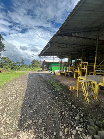 VENTA   Granja Avícola de Alta Productividad en La Unión de Venecia, Alajuela (PRODUCCION DE HUEVO) in Venecia, San Carlos, Alajuela — $3,000,000