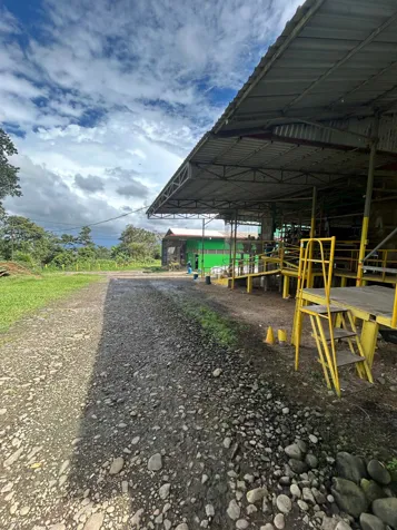 VENTA   Granja Avícola de Alta Productividad en La Unión de Venecia, Alajuela (PRODUCCION DE HUEVO) en Venecia, San Carlos, Alajuela — $3,000,000 - Foto 3 de 36