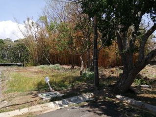 Lote en venta en San Pablo, Heredia. Desarrollo viviendas. 5PVV9545360 in Vara Blanca, Heredia — $335,000 - Photo 4 of 4