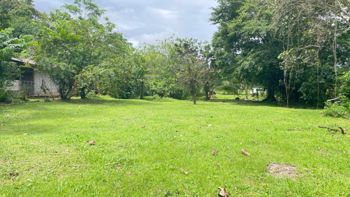 Lote en Venta en La Colonia de Guápiles | 3.149 m² de Naturaleza