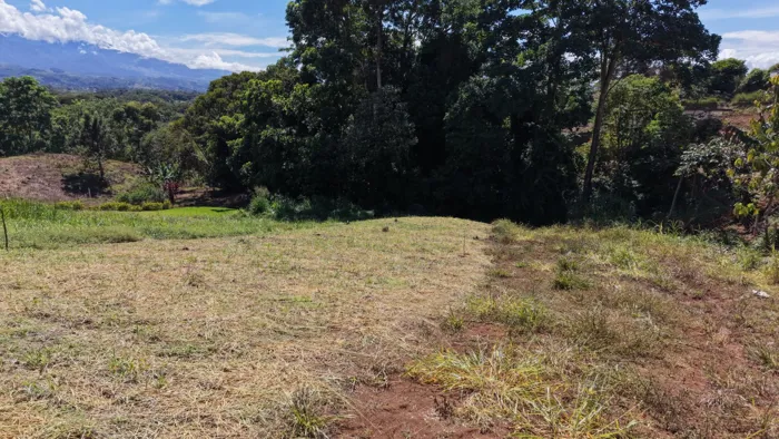 LOT FOR SALE: RESIDENTIAL 826 M2 IN BARRIO SAN VALENTIN, PEREZ ZELEDON in San Isidro De El General, Pérez Zeledón, San José — ₡ 20 000 000 - Photo 3 of 14