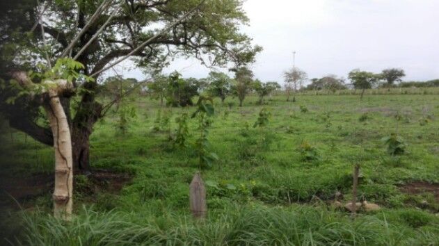 Venta de Lote en Montes de Oro, Puntarenas. RAH 26-249 in Miramar, Montes De Oro, Puntarenas — $76,000