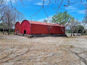 Farm For Sale Palmira, Cañas, Guanacaste