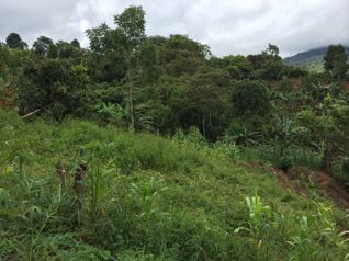 Lote en venta en Pérez Zeledón, Quebradas en San Isidro De El General, Pérez Zeledón, San José — 26 000 000 ₡ - Foto 3 de 7