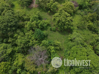 Lote en venta Guacalillo, Puntarenas **2335 in Tárcoles, Garabito, Puntarenas — 60 000 000 ₡ - Photo 4 of 4