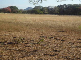 Finca ganadera 380 Ha cerca Tamarindo Guanacaste en Tamarindo, Santa Cruz, Guanacaste — $4,560,000 - Foto 2 de 2