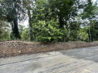 SE VENDE LINDO TERRENO CON RIO COMADRE, CAHUITA, LIMON, COSTA RICA en Cahuita, Talamanca, Limón — $163,850 - Foto 5 de 27