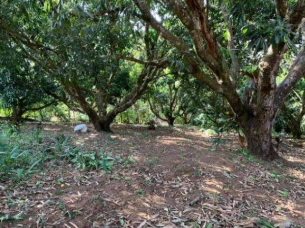 LA PROPIEDAD DE SUS SUEÑOS EN ATENAS.  en Atenas, Alajuela — ₡ 150 000 000