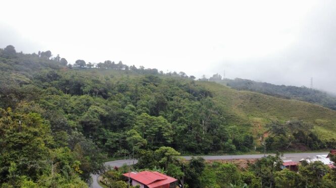 EN VENTA – 24.2 HECTÁREAS EN ALTO SAN JUAN en Barú, Pérez Zeledón, San José — $1,800,000