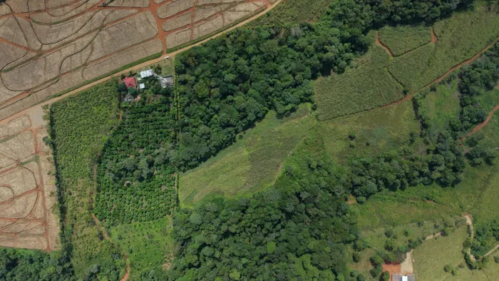SE VENDE FINCA CON TOPOGRAFIA PLANA Y POTENCIAL AGRICOLA EN PEREZ ZELEDON en San Pedro, Pérez Zeledón, San José — ₡ 28 000 000 - Foto 2 de 12