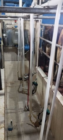 VENTA- Finca Ganadera con Infraestructura para Lechería -  entre San Ramón y Zarcero - 25 manzanas in Brisas, Zarcero, Alajuela — ₡ 250 000 000