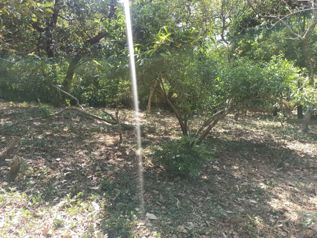 Venta de Lotes en Liberia / Guanacaste en Liberia, Guanacaste — 9 281 000 ₡ - Foto 5 de 7