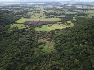 VENTA TERRENO (FINCA) DE USO AGRICOLA, GUANACASTE, CAÑAS in Cañas, Guanacaste — $2,900,000 - Photo 5 of 8