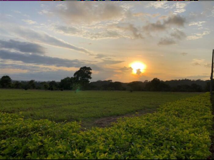 VENTA DE LOTE, PUNTARENAS, MIRAMAR, HACIENDA MONTES DE ORO in Miramar, Montes De Oro, Puntarenas — $38,528